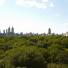 960 Fifth Avenue penthouse - views